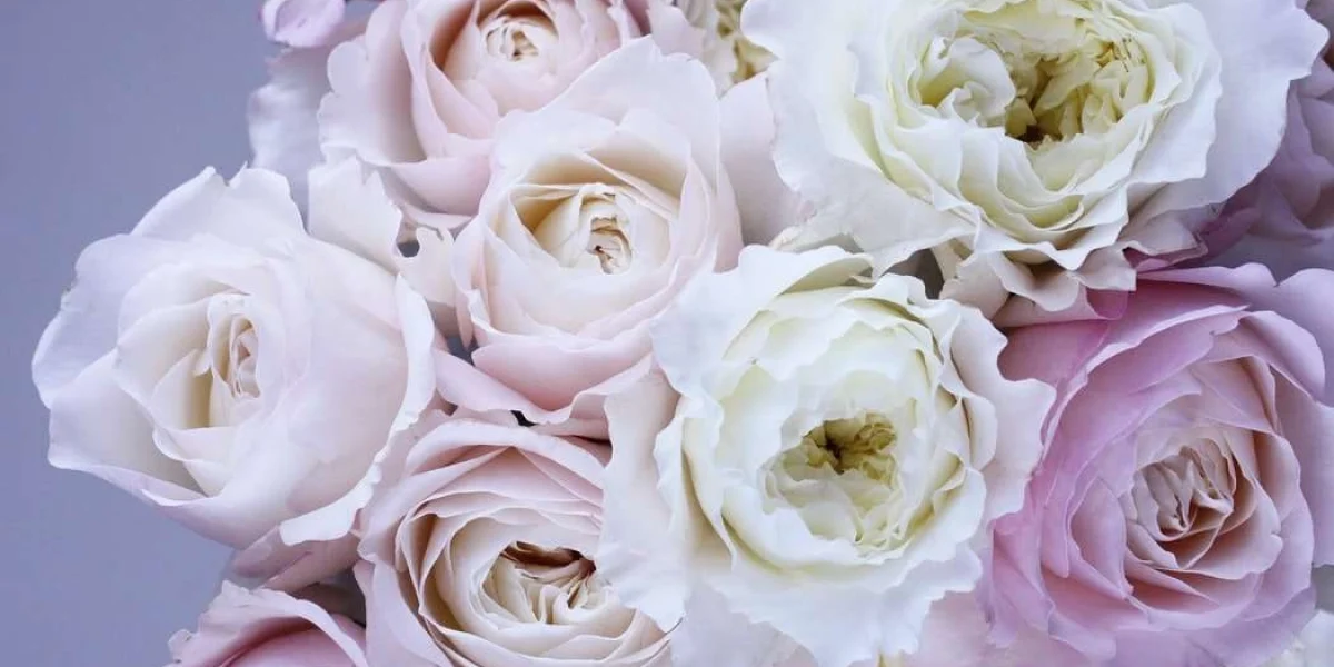 how flowers influence our lives