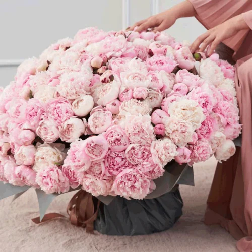 little know facts about peonies 3